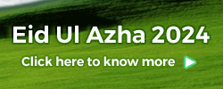 eid ul adha 2024 qurbani goats